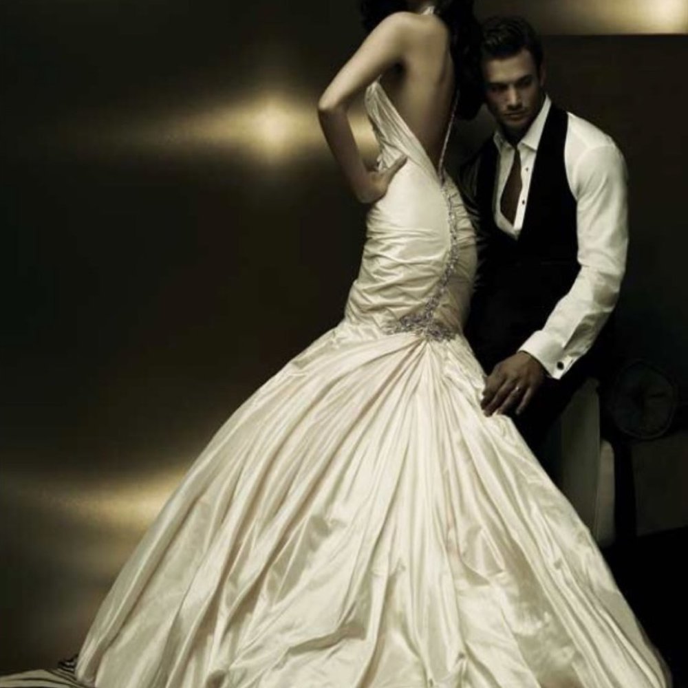 Ines Di Santo Nica Wedding Gown size 6